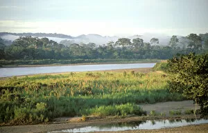 South America, Ecuador, Amazon. Napo River
