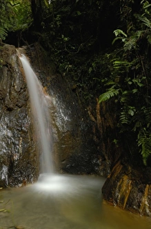 Images Dated 30th July 2006: South America, Ecuador, eastern slope of the Andes, Cloud forest, San Isidro, waterfall