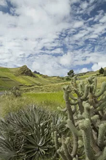 South America, Ecuador, fields and mountains near Zumbahua