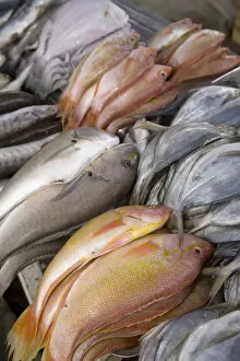 South America, Ecuador, Pujili, fish on display at weekly outdoor food market