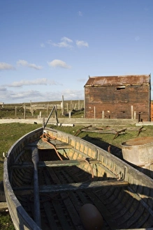 South America, Falkland Islands