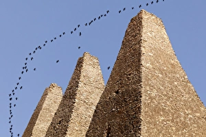 Images Dated 16th February 2011: South America, Mexico, Mineral de Pozos. Flock of birds flying over ruins of Santa