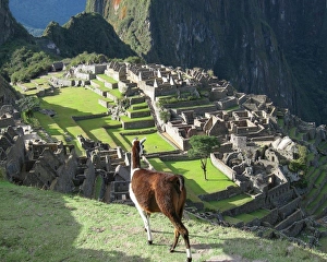 South America, Peru