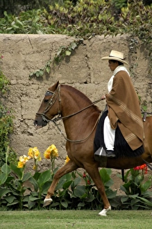 South America, Peru