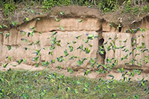Images Dated 19th July 2010: South America, Peru