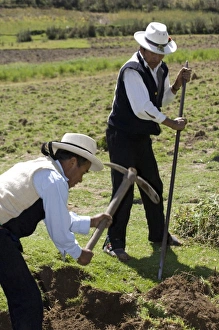 Images Dated 11th May 2005: South America, Peru