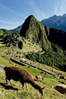 Images Dated 25th July 2010: South America, Peru
