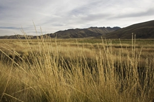 Images Dated 20th May 2005: South America, Peru