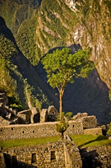 Images Dated 23rd July 2010: South America, Peru