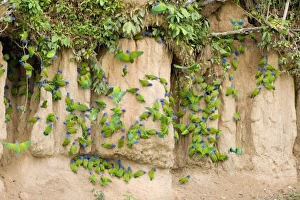 South America, Peru