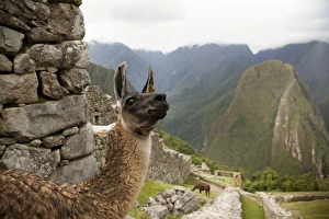 Images Dated 18th March 2009: South America, Peru