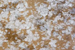 Images Dated 28th May 2007: South America - Peru. Closeup of salt ponds near Maras where the salt water evaporates