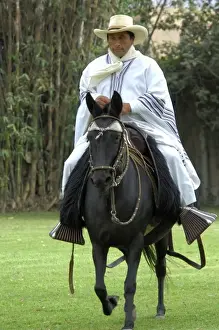 Saddle Prints: South America, Peru, Lima. Historic Peruvian Paso horse ranch, Chacra Tres Canas