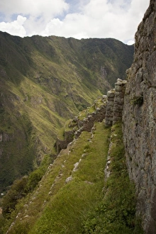 Images Dated 18th March 2009: South America, Peru, Machu Picchu. Steep agricultural terraces cut into mountainside