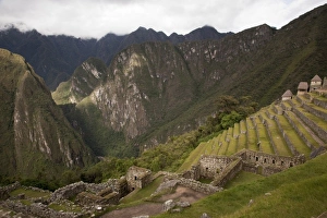 Images Dated 18th March 2009: South America, Peru, Machu Picchu. View of agricultural terraces and surrounding mountains