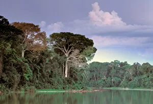 Images Dated 20th April 2006: South America, Peru, Manu National Park, Rainforest. Manu river landscape