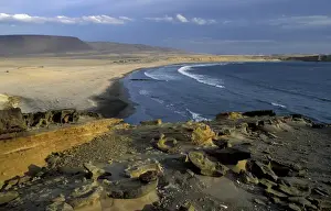 National Reserve Prints: South America, Peru, Pisco, Ica Paracas National Reserve Playa Yumaque