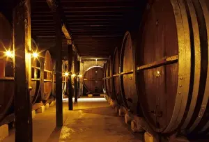 Aging Prints: South America, Uruguay; fine wine ages in oaken casks in a cool wine cellar
