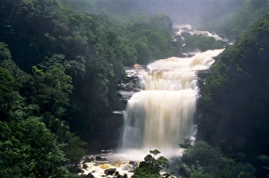 Base Prints: South America, Venezuela, Canaima National Park