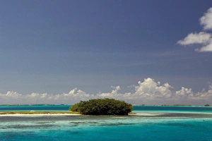 Images Dated 10th April 2006: South America, Venezuela, Los Roques, Lanqui