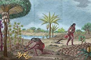 Shrub Prints: South American Indians. 16th-18th century