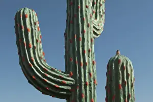 Kitsch Prints: South Carolina, USA. South of the Border roadside attraction