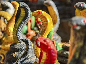 Marigold Prints: South East Asia; Thailand; Chiang Mai; Cobra Snake replica display