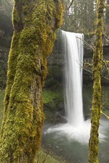 Drop Prints: South Falls, Silver Falls State Park, Oregon