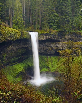 Blurred Motion Prints: South Falls in Spring: Silver Falls State Park, Oregon, USA