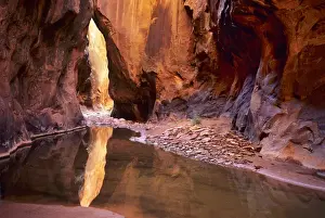 James Kay Prints: South Fork Choprock Canyon in the Escalante Canyons of Glen Canyon National Recreation Area