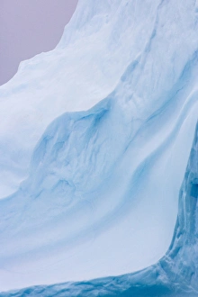 Images Dated 14th November 2015: South Georgia Island. Iceberg shapes