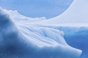 South Georgia Island. Iceberg shapes and hues