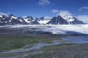 South Georgia Island, Salisbury Plain, Subantarctic. View across the Lucas Glacier