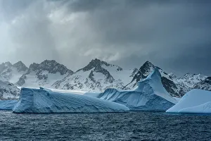Images Dated 23rd January 2024: South Georgia Island. Sculpted blue icebergs floating in the Atlantic and mountain scenery
