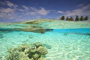 Images Dated 3rd April 2010: South Huvadhoo Atoll, Southern Maldives, Indian Ocean