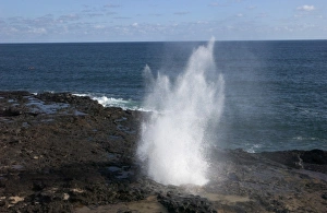 Savanah Stewart Prints: South Kauai, Lawa i Road, Po ipu, Spouting Horn. (RF)