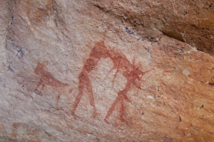 Images Dated 21st August 2009: South Northern Cederberg Pakhuis Conservancy