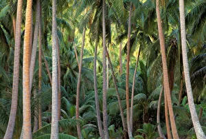 South Pacific