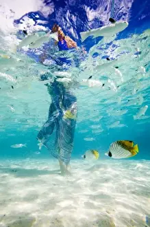 Images Dated 21st September 2007: South Pacific, Bora Bora, female tourist walking in ocean. (MR)