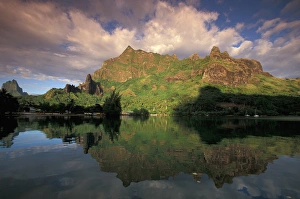 Moorea Prints: South Pacific, French Polynesia, Moorea Hillside reflection at dawn