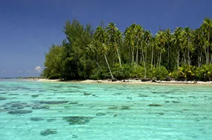 Moorea Prints: South Pacific, French Polynesia, Moorea