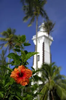 South Pacific, French Polynesia, Tahiti. Hibiscus in front of Venus Point Lighthouse