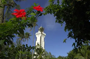 South Pacific, French Polynesia, Tahiti. Hibiscus in front of Venus Point Lighthouse