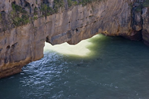 Grotto Prints: South Pacific, New Zealand, South Island. Sunlight on ocean under limestone sea arch