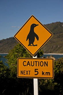 Images Dated 7th November 2012: South Pacific, New Zealand, South Island. Traffic sign protecting penguins. Credit as