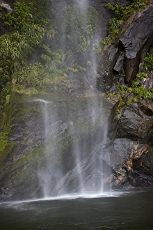 South Pacific, New Zealand, South Island, Fiordland National Park