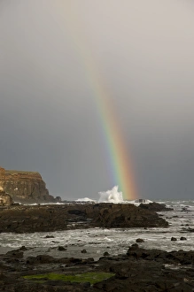 Images Dated 3rd November 2012: South Pacific, New Zealand, South Island. A rainbow arcs over Curio Bay. Credit as