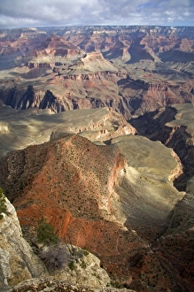 Images Dated 23rd March 2009: South Rim view of the Grand Canyon, Arizona, USA