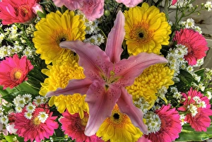 Images Dated 2nd January 2011: Southeast Asia, Thailand, Bangkok. Close-up of flowers on display at market. Credit as