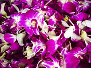 Southeast Asia; Thailand; Bangkok; kBangkok Street Flower Market